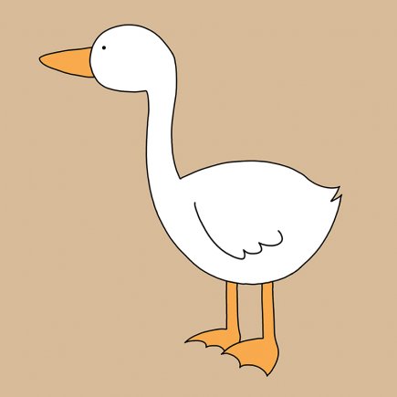 Obrázek_Husa